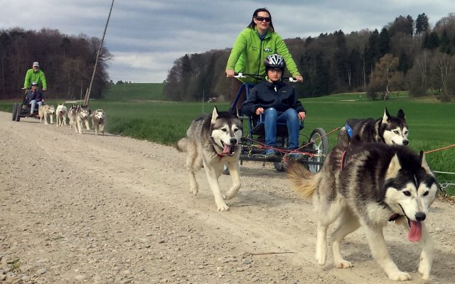 Ferienpass Mühlheim 2018 in Pfyn